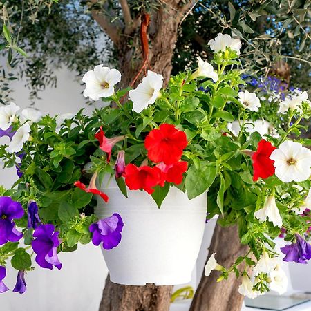 Villa Del Capo Suites Rhodes City Екстер'єр фото