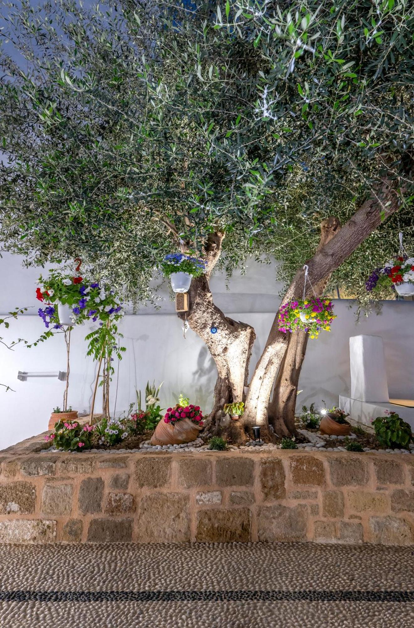 Villa Del Capo Suites Rhodes City Екстер'єр фото